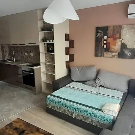 Stylish Near City, Entire Flat, 1 Bedroom, 1 Large Bed In Living Апартамент Пловдив